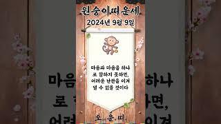 오늘의 원숭이띠 운세 2024년 9월 9일 #원숭이띠 #오늘의운세 #내일의운세 #운세 #운세쇼츠