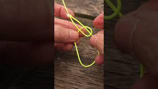 Master the Bowline Knot: Essential Skill for All Adventurers