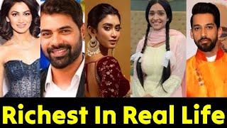 Famous Zeeworld Richest Zeeworld Actors and Actresses and their real Life Networth 2024