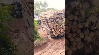 sinotruck thất thủ