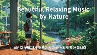 꿀잠 자요. 수면 유도 빗소리|Beautiful Relaxing Music by Nature |Healing camp in NZ| 힐링 캠프| 빗소리