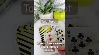 О чём Вам важно знать прямо сейчас  #таро #обряды #эзотерика #талисмантаро #таролог #tarot