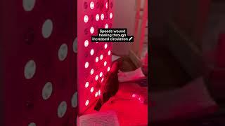  Winter Wellness Hack: Red Light Therapy! Pip approved! 