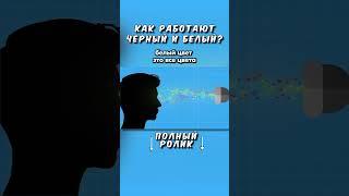 Как Работают Черный и Белый? ТГ: globalee_phys Запись на Курс по Физике!