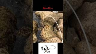 역시 시커먼 게 힘 Black, Strong & Big-sized Rockfish makes me Happy.