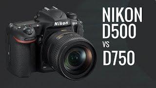 Nikon D500 vs Nikon D750 for LOW Light