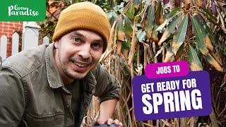 Tropical garden jobs to get ready for spring | Cutting back, planting & learning