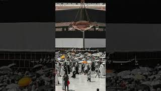 4 March 2025