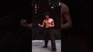 JINGWU KUNGFU Three moves Two Styles WORKOUTS #kungfu #martialarts #fitness