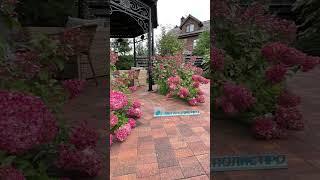 Все о красивых дорожках и брусчатке Подпишитесь #брусчатка #тротуарнаяплитка #дорожки #сад #дача