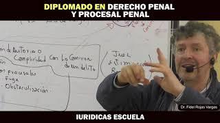 Tema: Derecho Penal y Procesal Penal - Dr. Fidel Rojas Vargas