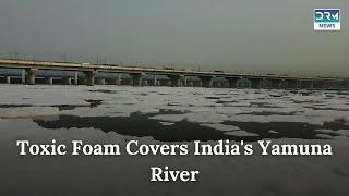 Drone Footage Reveals Toxic Foam on India's Yamuna River | DRM News | AL1C