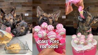 Cake Pops For Dogs Recipe