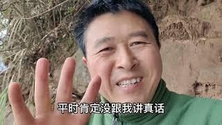 养蜂一年赚了十多万，到底有什么养蜂秘诀？我们能向他学习吗？