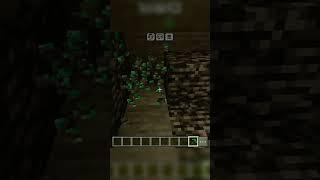 Funniest Minecraft movement #minecraft#indiangameplay#funny#minecraft #funny #viralshort#trending