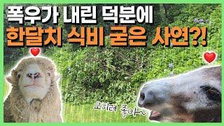 여기저기 무너져내렸는데! 오히려 럭키비키잖아~?!