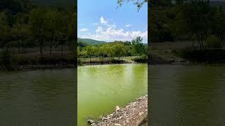 Guba Green Lake | Green Garden Restaurant | Azerbaijan