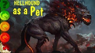 Would a Hellhound Make a Good Pet for you?