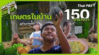 เกษตรในบ้าน 150 ตารางวา สร้างรายได้ | มหาอำนาจบ้านนา