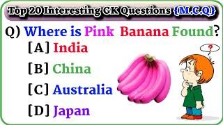 Interesting GK Questions And Answers l GK In English l GK Quiz l General Knowledge In English l