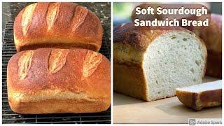 Soft Sourdough Sandwich Bread