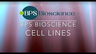 BPS Bioscience Cell Lines