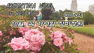   부에노스아이레스 해외생활 Vlog 아르헨티나의 봄을 만끽하는 10월의 장미 정원 | 뭔가 잘못된 감량 식단 | 오징어 젓갈 만들기 | 치킨 가라아게와 로제 와인