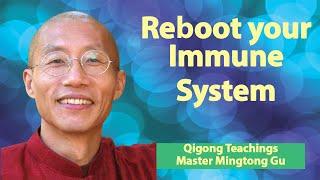 How to Reboot Your Immune System Through Wisdom Healing Qigong