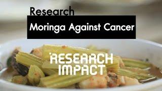 Research on Moringa for cancer prevention - Research Impact [by Mahidol]