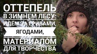 Оттепель в зимнем лесу:идём за ягодами, грибами, материалом для творчества