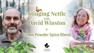 Stinging Nettle with David Winston + Green Powder Spice Blend