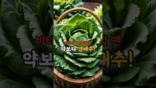 비타민 B 부족할 땐 약보다 양배추!