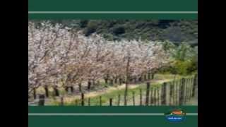 Langeberg and Ashton part1