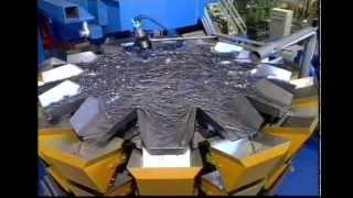 Weighpack Packaging Solutions - Multi head packing line nails into blister packaging.