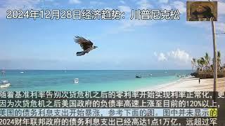 2024年12月28日经济趋势：川普-尼克松