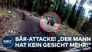 HORROR-ANGRIFF: "Der Mann hat kein Gesicht mehr!" Braunbär attackiert zwei Wanderer in Slowakei