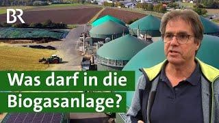 Deckel drauf! Weniger Mais für die Biogasanlage | Erneuerbare Energien | Unser Land | BR