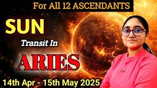 Sun Transit in ARIES 2025 ( Exalted ) | For all 12 ASCENDANTS | 14th April - 15th May 2025