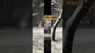 Күле жүрейік,өмір тамаша