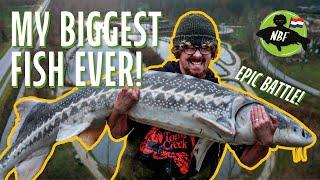 Biggest Fish of My Life!  Sturgeon Fishing Adventure in the Netherlands 