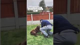 90 year old man visits neighbour's dying dog | hope for paws | howl of a dog | the dodo