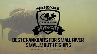 Best Crankbaits for Small River Smallmouth Bass Fishing