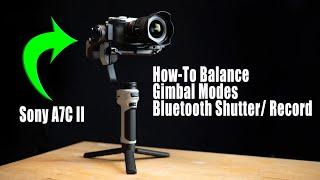 Zhiyun Cinepeer Weebill 3E Gimbal Tutorial - A Beginners Guide