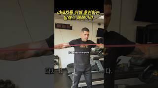다시 트레이닝 시작한 알렉스 페레이라