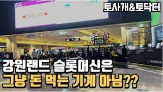[토사개&토닥터] 30대 평범한 남자의 강원랜드 카지노 방문 후기