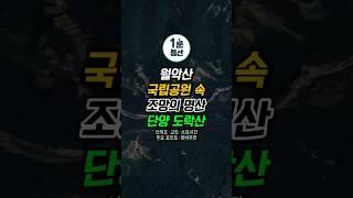 도락산 등산코스 | 3D맵으로 미리 걷는 명산100 EP.27#도락산 #등산 #등산코스 #1분등산 #hiking #hiking #hikingtrails #shorts