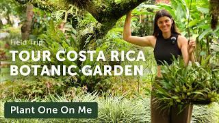 10-Acre BOTANIC OASIS Tour at COSTA RICA Hotel — Ep. 402