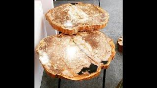 Petrified Teak Wood Side Table