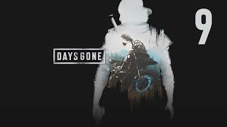 MÓJ SYGNECIK! | Days Gone PL #9