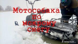 Мотособака тонет в снегу